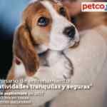 En Petco seminario de entrenamiento gratuito "Festividades tranquilas y seguras" hoy domingo