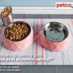 En Petco seminario gratuito de perro y gato ¿Qué es el alimento natural? Hoy sábado a las 12:00