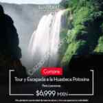 Compra una experiencia Wishbird y llévate gratis otra