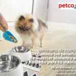 En Petco hoy seminario gratuito de nutrición "Beneficios de mezclar alimento seco y húmedo para tu mascota"