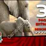 Promoción Africam Safari Buen Fin 2017: cupón de 3x2 en boletos de entrada