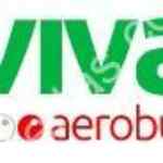 Oferta de la semana Vivaaerobus: Vuelos desde $498 en modalidad VivaLight y desde $638 en VivaBásico