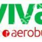 Venta de Aniversario Viva Aerobús: hasta 70% de descuento en todas las rutas