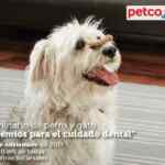 En Petco seminario de entrenamiento gratuito "Premios para el cuidado dental" hoy sábado a las 12:00