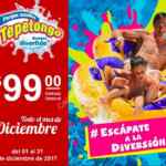Cupón Tepetongo entrada a sólo $99 durante diciembre