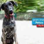 Inauguración Petco Averanda (Cuernavaca) 9 de diciembre: tarjeta de regalo para los primeros 100