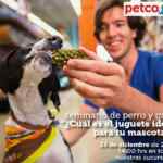 En Petco seminario gratuito "Cuál es el juguete ideal para tu mascota?" hoy sábado