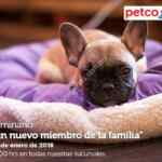 En Petco seminario gratuito "Un nuevo miembro de la familia" hoy sábado a las 12:00