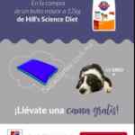 En Petsy compra un bulto de Hill's Science Diet y llevate una cama para tu perro gratis
