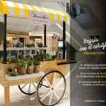 Promoción Palacio de Hierro San Valentín: Suculentas y terrarios de regalo con tus compras este fin de semana
