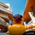 Temporada de patos Centro Comercal Antea: Patito de regalo si compras $500 en tiendas