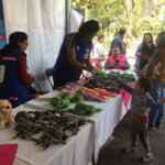 Programa de Desarme Voluntario CDMX: canje de armas de fuego por dinero y juguetes bélicos por peluches