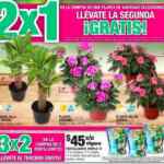 Promoción Home Depot Expo Patio y Jardín: 2x1 en plantas y 3x2 en fertilizantes seleccionados