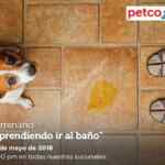En Petco seminario gratuito Aprendiendo a ir al Baño hoy domingo
