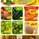 Ofertas Bodega Aurrerá en frutas y verduras Tianguis de Mamá Lucha 27 de abril al 3 de mayo 2018