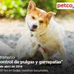 En Petco seminario "Control de pulgas y garrapatas" hoy sábado a las 12:00