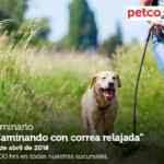 En Petco seminarios "Pequeños y peludos" y "Caminando con correa relajada" hoy domingo