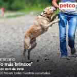 Seminarios gratuitos Petco "Visitantes de nuestro jardín" y "No Más Brincos" hoy domingo