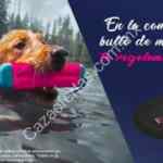 Promoción Eukanuba: Compra un bulto de 6kg o más y llévate de regalo una cama para tu perro