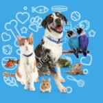 Ofertas Petco Hot Sale 2018: 30% de descuento en alimento y más