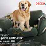 En Petco seminario gratuito "Perro destructor" hoy domingo a las 14:00 y "Necesidades de las Tortugas" a las 12:00