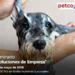 En Petco seminario gratuito "Soluciones de limpieza" hoy sábado a las 12:00