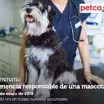 En Petco seminario gratuito "Tenencia responsable de una mascota" hoy sábado a las 12:00