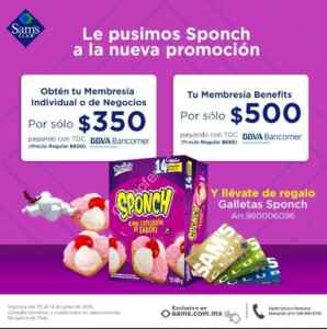 Imagen de la promo