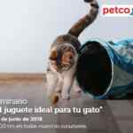 En Petco seminario gratuito "El Juguete Ideal para tu Gato" hoy sábado