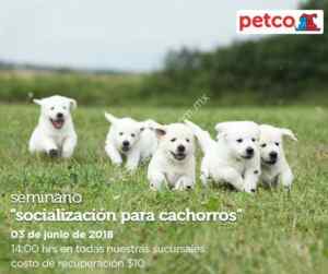Imagen de la promo