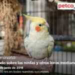 En Petco seminarios gratis "No más brincos" y "todo sobre las ninfas y otros loros medianos" hoy domingo
