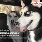 En Petco seminario gratuito "Viajando Seguros" hoy sábado a las 12:00