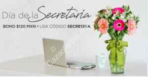 Imagen de la promo