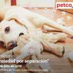 En Petco seminarios gratis "Nutrición de pequeños mamíferos" y "Ansiedad por separación" hoy domingo