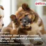 En Petco seminario gratuito "La solución ideal para el control de pulgas, garrapatas y mosquitos" hoy sábado