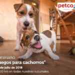 En Petco Seminarios "Juegos para Cachorros" y "Conociendo a los Hurones" hoy domingo