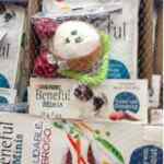 Promoción Purina Beneful de juguete para cachorro gratis en la compra de alimento para perro