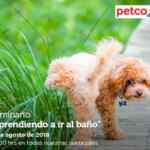 En Petco seminarios gratuitos "Aprendiendo a ir al baño" y "alimentación natural para aves" hoy domingo