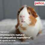 En Petco seminarios bebederos y comederos de gravedad" y "alimentación pequeños mamíferos" hoy domingo