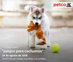 Imagen de la promo