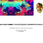 Promoción Mecánico Jeans nueva tienda online: Todo a mitad de precio y envío gratis hoy domingo a partir de las 20:00