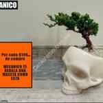 En Mecánico Jeans compra $199 y llévate de regalo una maceta de calavera