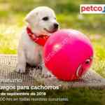 En Petco seminario gratuito “Juegos para Cachorros” hoy domingo 23 de septiembre