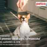 En Petco seminario gratuito “El premio ideal para tu mascota” hoy 15 de septiembre