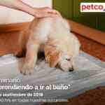 Seminarios Petco "Aprendiendo a ir al baño" y "hablando de talla y nutrición en conejos" hoy domingo
