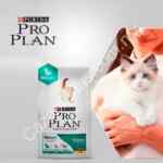 En Petsy 3x2 en alimento para gato Purina Pro Plan