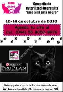 Imagen de la promo