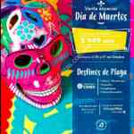 Venta especial de Día de Muertos Aeromar: Vuelo sencillo a destinos de playa desde $949