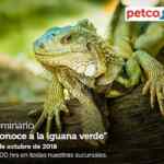 En Petco Seminarios Gratis para mascotas este 6 y 7 de octubre 2018