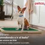 Seminarios Petco gratuitos "Aprendiendo a y al baño", "pooch pads" y "nutrición de insectos" hoy domingo